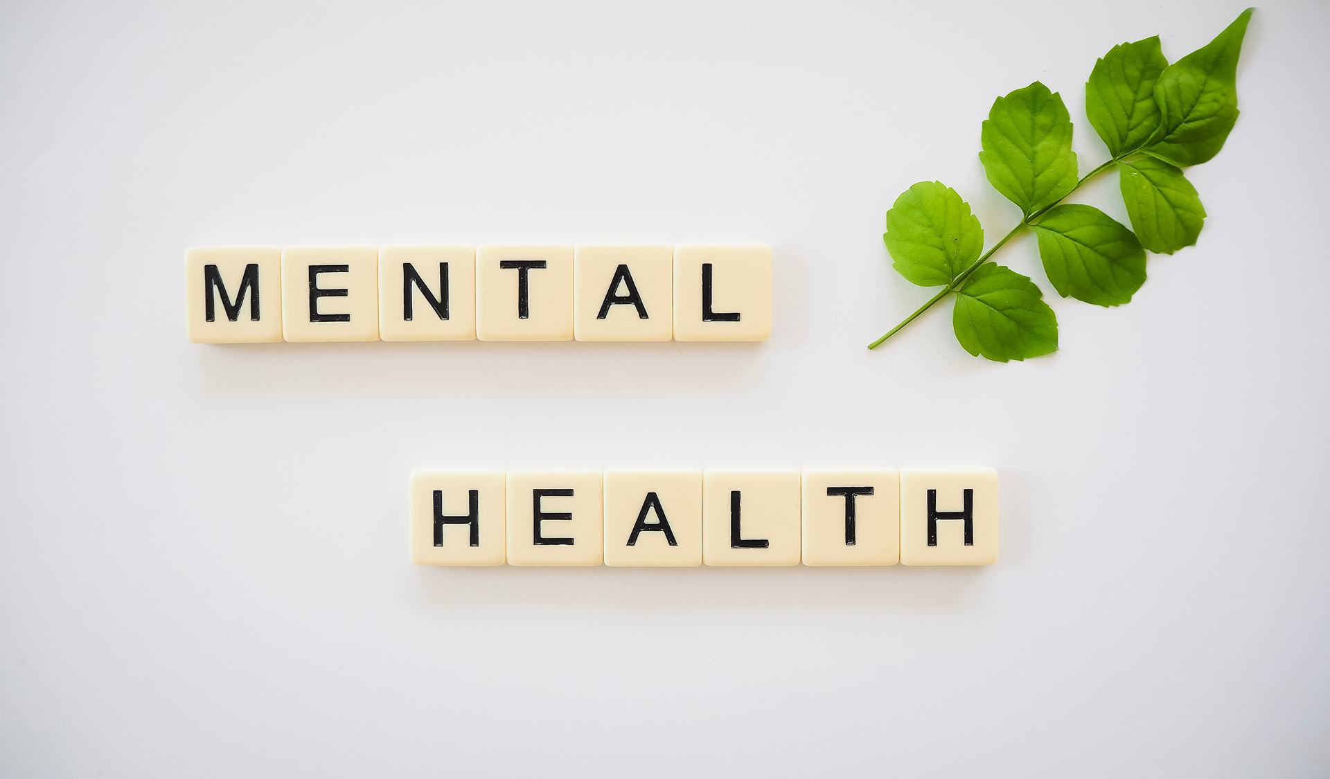 scrabble tiles spelling mental health on a white background with a green sprig of leaves next to it